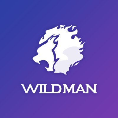 Wildman Confirms Hijacking of the Panzer Dragoon Voyage Record Twitter Account