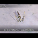 Panzer Dragoon Orta Episode 5 Screenshot